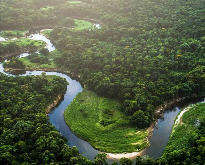 Yiwu Saintde Socks Co., Ltd.