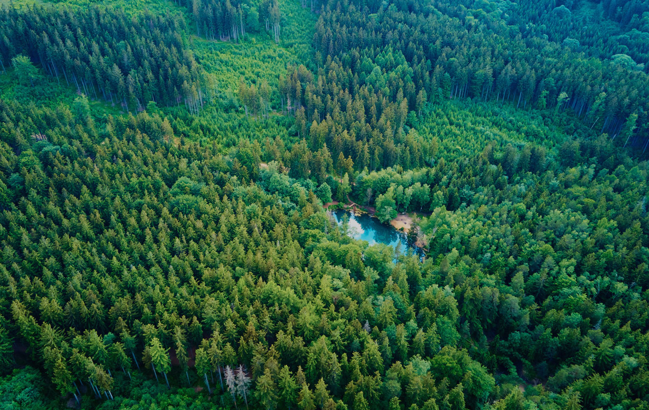 Yiwu Saintde Socks Co., Ltd.